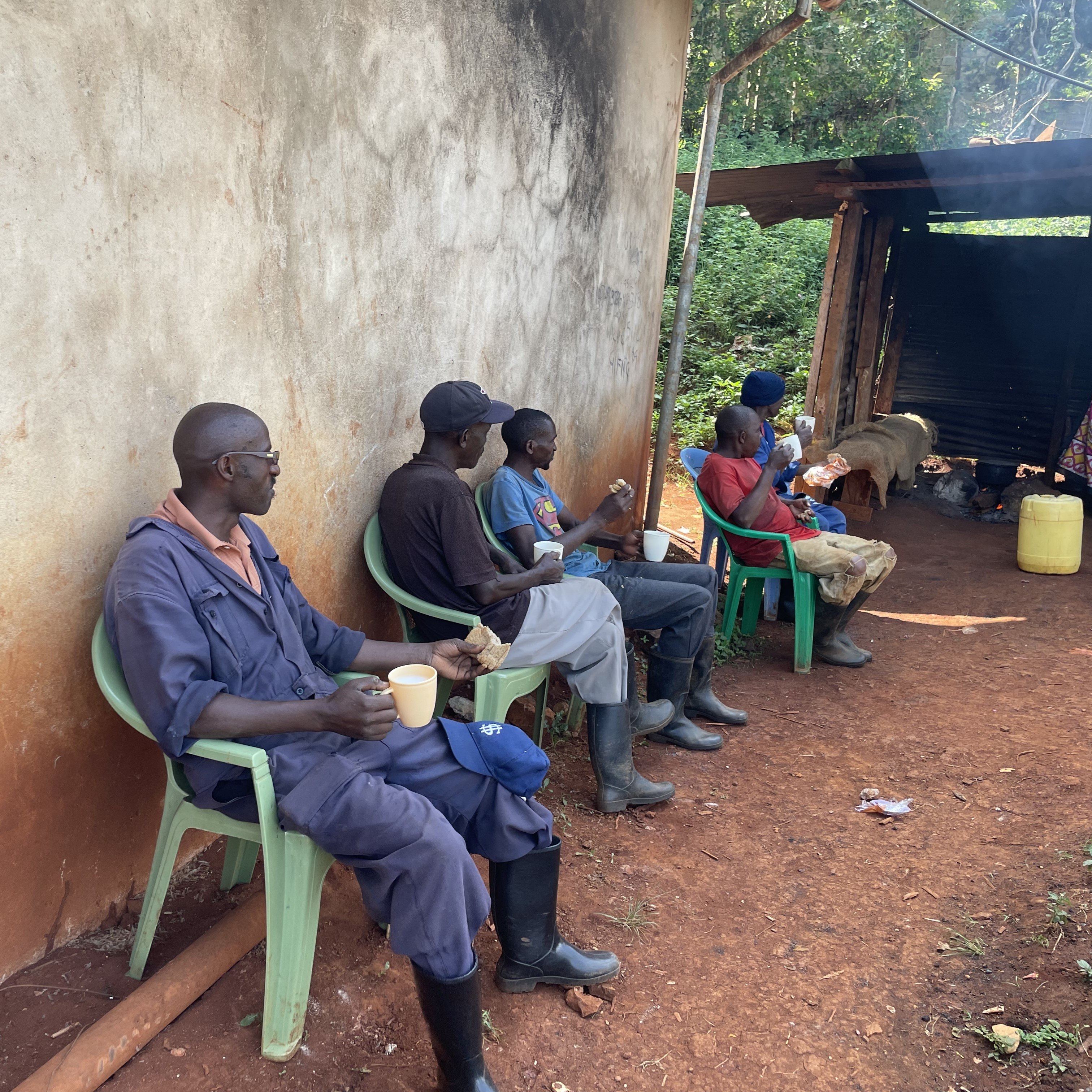 Kenya Kieni AA Washed(23/24クロップ) | ORIGIN COUNTRIES for